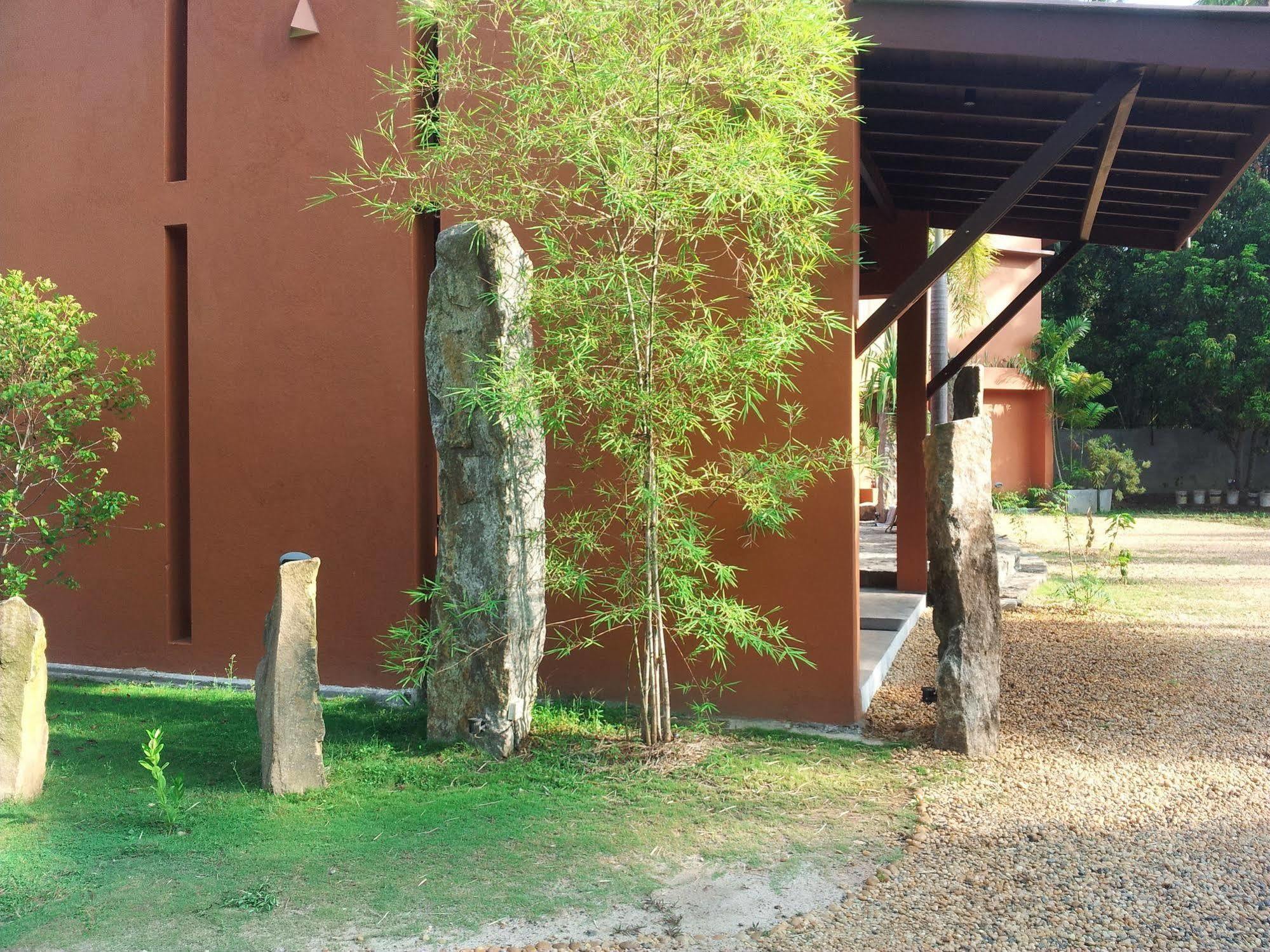 ベントータ La Casitaヴィラ エクステリア 写真